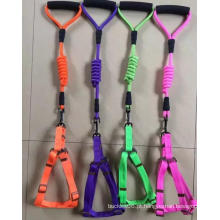 Nylon Pet Leash Dp -CS15593